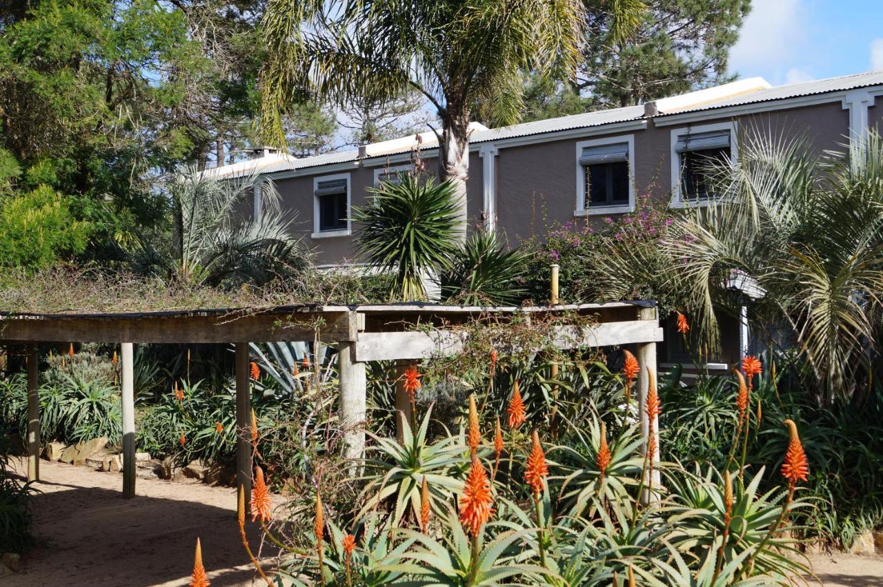 Posada Del Corumba La Paloma Exterior photo